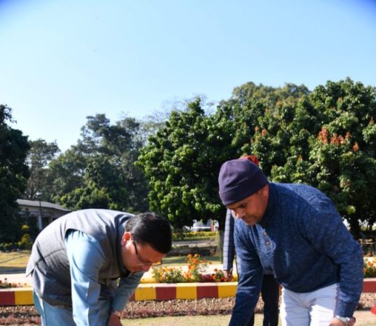 सीएम धामी ने ट्यूलिप की 13 प्रजातियों का किया रोपण