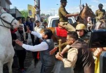 हाईकोर्ट ने शक्तिमान मामले पर की सुनवाई, सरकार से मांगा जवाब