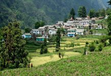 बनाली: प्रिय गावँ की माटी-पानी और हमारी जड़ें – मदन मोहन कण्डवाल