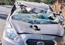 कार के ऊपर अचानक गिरा पेड़, फूड ब्लॉगर की बाल-बाल बची जान