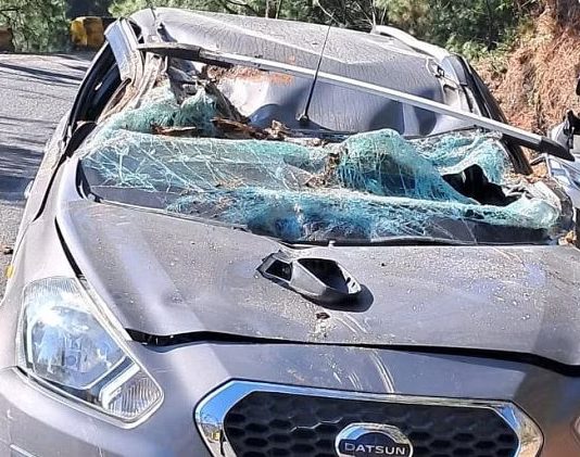 कार के ऊपर अचानक गिरा पेड़, फूड ब्लॉगर की बाल-बाल बची जान