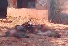 चेक पोस्ट पर ड्यूटी के दौरान नक्सलियों ने जवानों पर किया हमला, दो जवान शहीद