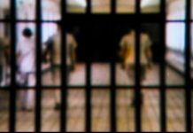 पेपर लीक: गृह प्रवेश की पूजा में बैठा था आरोपी, बहार निकलते ही एसटीएफ ने दबोचा