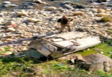 खाई में गिरी आल्टो कार, एक की मौत