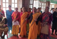 स्थानीय महिलाओं ने डमरू हॉल में मनाया होली मिलन कार्यक्रम