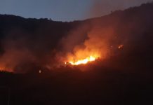 थापली गांव के सौंदल्यूं तोक की वन भूमि आगजनी की घटना पर राजस्व पुलिस ने अज्ञात के खिलाफ किया मुकदमा दर्ज