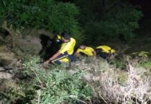 मसूरी घूमने आए दो युवक खाई में गिरे, रेस्क्यू कर अस्पताल में कराया भर्ती