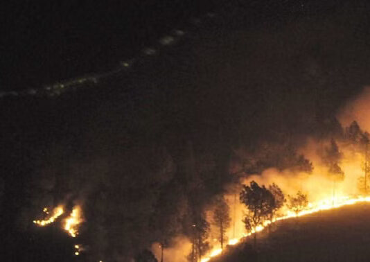 प्रदेश में 24 घंटे में 18 जगह धधके जंगल, बारिश से भी नही मिली राहत