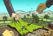 उत्तराखंड में ध्वस्त हुईं 294 अवैध मजारें, 31 मंदिर