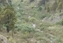 खाई में गिरी कार, दो की मौत