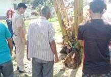 मानवता शर्मसारः दो माह की बछिया से दुष्कर्म,आरोपी फरार