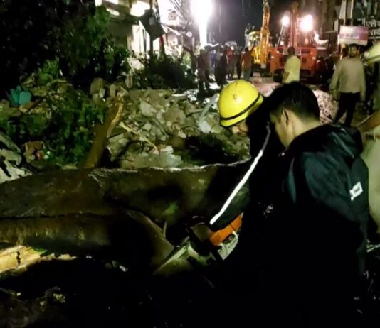 चलती कार के उपर पेड़ गिरने से अधिवक्ता की मौत