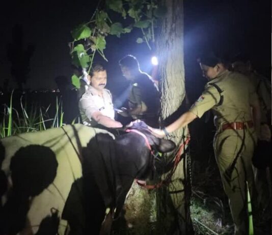 गौ तस्करों से देर रात पुलिस की मुठभेड, एक तस्कर घायल