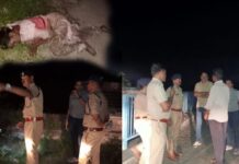 पिरान कलियर आई महिला की धारदार हथियार से हत्या