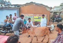 लंपी वायरस ने बढ़ाई राज्य सरकार की चिंता