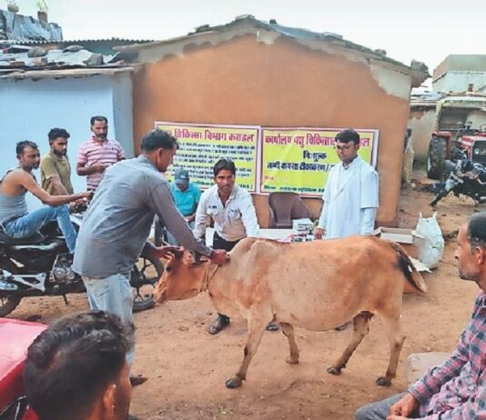 लंपी वायरस ने बढ़ाई राज्य सरकार की चिंता