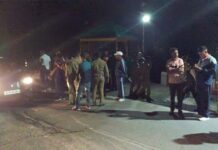 बस खाई में गिरी, चालक घायल