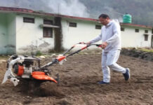 खेत में मंडुआ बुआई करते सीएम धामी को देख चौंके लोग