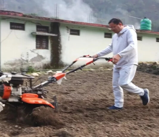 खेत में मंडुआ बुआई करते सीएम धामी को देख चौंके लोग