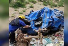 खाई में गिरी कार, चालक की मौत