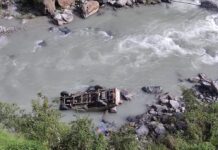 नंदाकिनी नदी में गिरा वाहन, चालक की मौत
