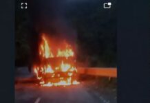 गैस सिलेंडर से भरे ट्रक में हुआ जबरदस्त ब्लास्ट, चालक ने भागकर बचाई जान