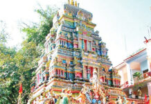 जंगली जानवरों से खतराः रात को बंद रहेगा नीलकंठ यात्रा मार्ग