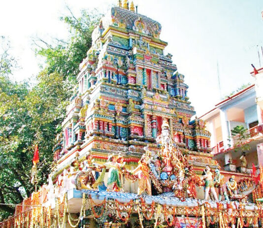 जंगली जानवरों से खतराः रात को बंद रहेगा नीलकंठ यात्रा मार्ग