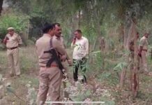 वन मार्ग पर पूर्व सैनिक का शव मिलने से सनसनी