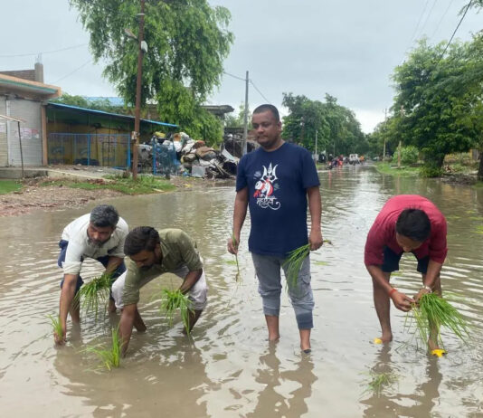 कांग्रेसियों ने सड़कों पर जलभराव को लेकर रोपे धान की पौध