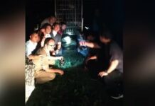 आतंक का पर्याय बना दूसरा बाघ हुआ कैद, ग्रामीणों ने ली राहत की सांस