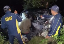 खाई में गिरी कार,एक की मौत,चार गंभीर