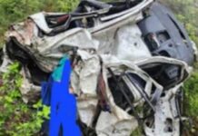 खाई में गिरी कार,मां-बेटे की मौत,एक गंभीर