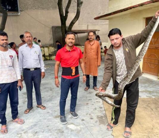 घर में घुसा अजगर,टीम ने रेस्क्यू कर जंगल में छोडा
