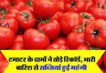 भारी बारिश के चलते टमाटर के साथ अन्य सब्जियों के बड़े दाम