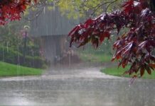 मौसम विज्ञान केंद्र ने किया गुरुवार तक यलो अलर्ट जारी