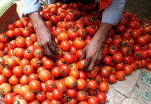 एक बार फिर बढ़े टमाटर के दाम, सब्जियों के दामों में भी आया उछाल