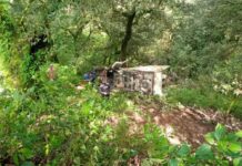 खाई में गिरा पिकअप वाहन