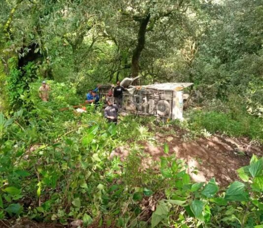 खाई में गिरा पिकअप वाहन