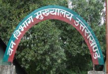 भ्रष्टाचार के खिलाफ वन विभाग के 20 अफसरों की खुली   जांच फाइलें