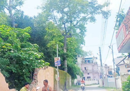 जज फार्म में लापरवाही से पेड़ कटान, मकान की दीवार ढही