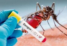 डेंगू के मरीजों में लगातार बढ़ोतरी, दो दिन में 38 नए मामले आए सामने