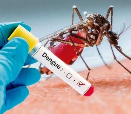 डेंगू के मरीजों में लगातार बढ़ोतरी, दो दिन में 38 नए मामले आए सामने