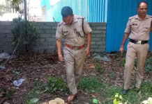 एडिशनल एसपी के आंगन में खड़े चंदन के पेड़ काटकर ले गए चोर