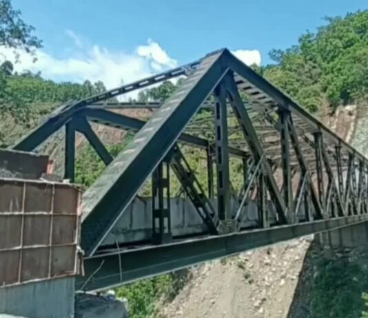 कुमाऊं मंडल के जर्जर 36 पुलों की बढ़ेगी लंबाई और चैड़ाईविभाग ने कवायद की शुरू