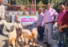 ग्राम मटियावा में भेड़ बकरी शिविर आयोजित