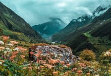 विश्व धरोहर फूलों की घाटी पर्यटकों के लिए बंद