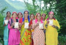 महिला समूहों पर बरसा बाबा केदारनाथ धाम का आशीर्वाद