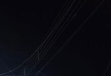 12 लाख की चरस के साथ नशा तस्कर गिरफ्तार