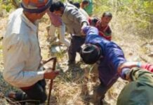 खाई में गिरी मैक्स , सात लोंगो की दर्दनाक मौत